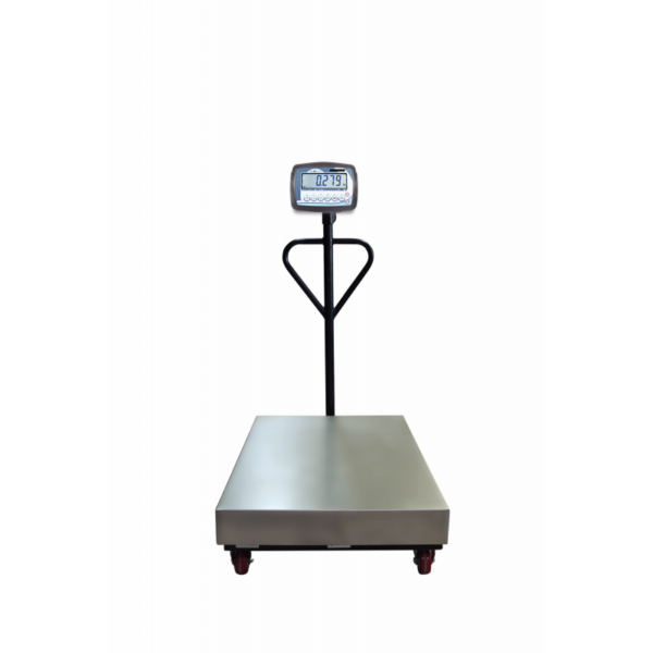 Bascule mono-capteur Baxtran BFN – Image 2