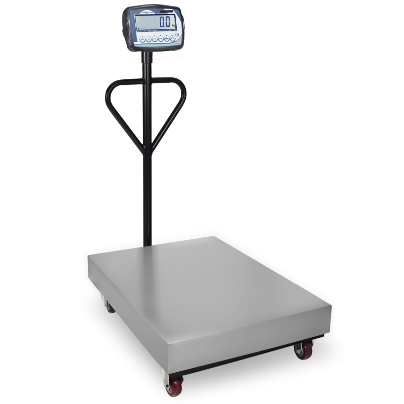 Bascule mono-capteur Baxtran BFN